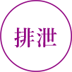 排泄